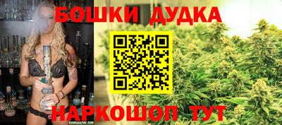 сатива Будённовск
