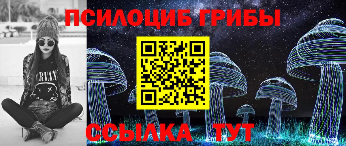 Галлюциногенные грибы MAGIC MUSHROOMS  Вход с VPN  Красногорск  Галлюциногенные грибы мухоморы 